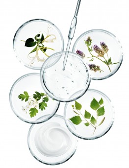 Soin Sothys Organic BIO