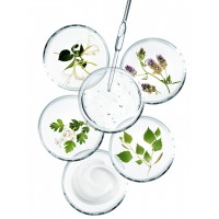 Soin Sothys Organic BIO