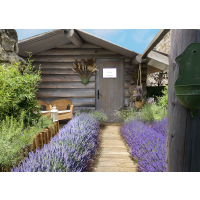 Le Rituel Provençal