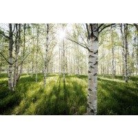 Soin Sothys Organic BIO